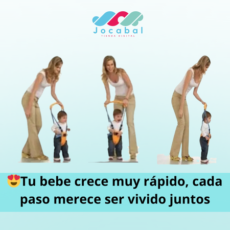 Arnés Primeros Pasos